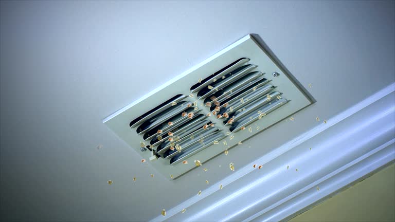 Best Ductwork Cleaning Services  in Keedysville, MD
